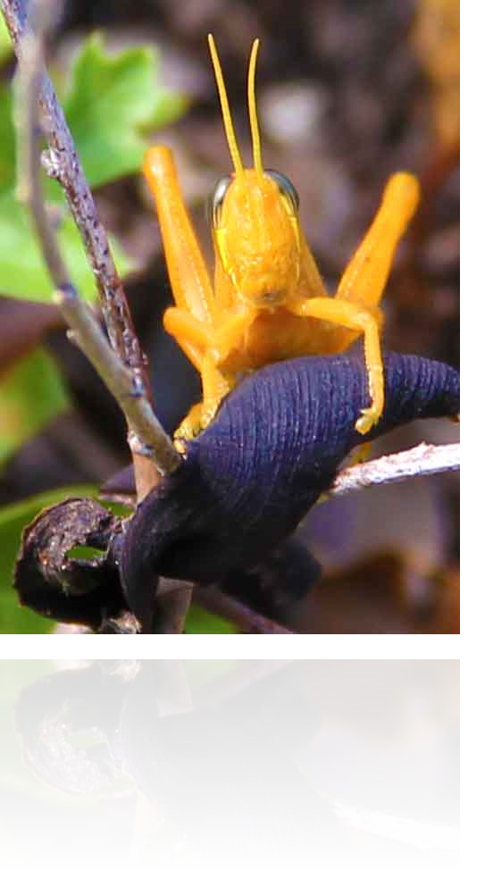 Austin Texas Photography